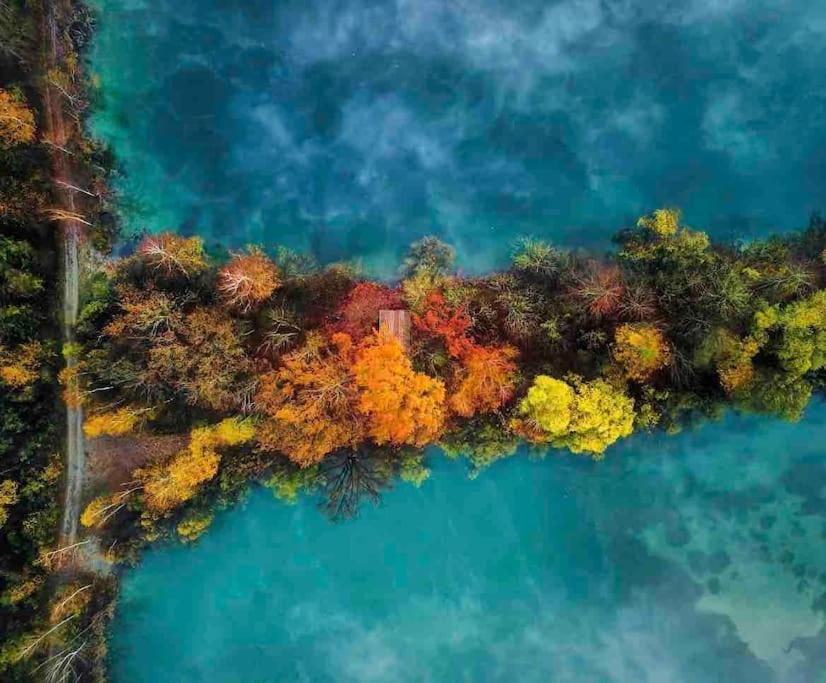 Apartment Amidst Nature-Riverdale, North Of Munich Fahrenzhausen エクステリア 写真
